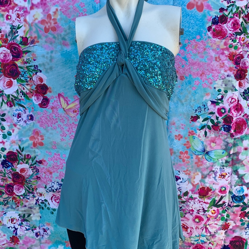 Turquoise halter style sequined top.